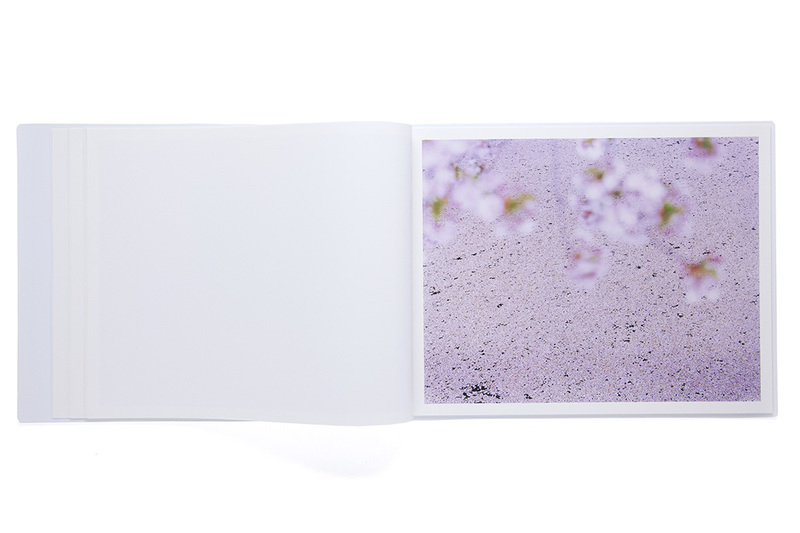 Risaku Suzuki – Sakura