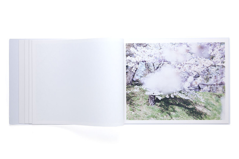 Risaku Suzuki – Sakura