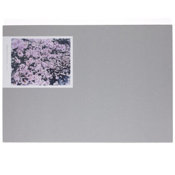 Christophe Guye Galerie Risaku Suzuki Sakura