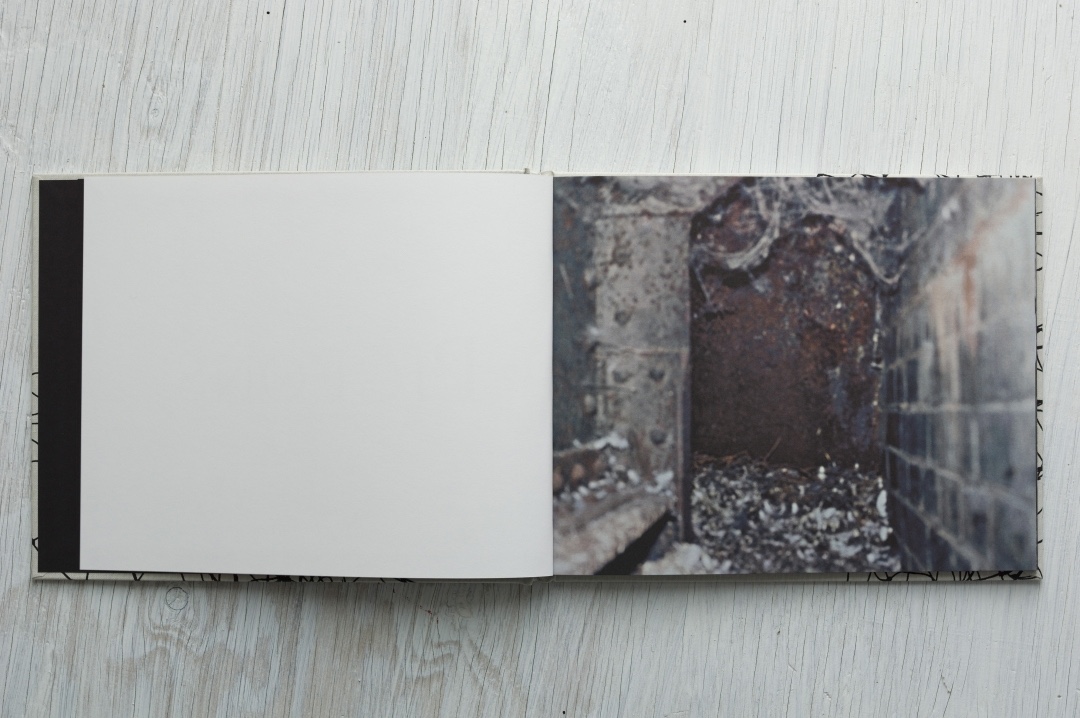 Stephen Gill – Pigeons – signed