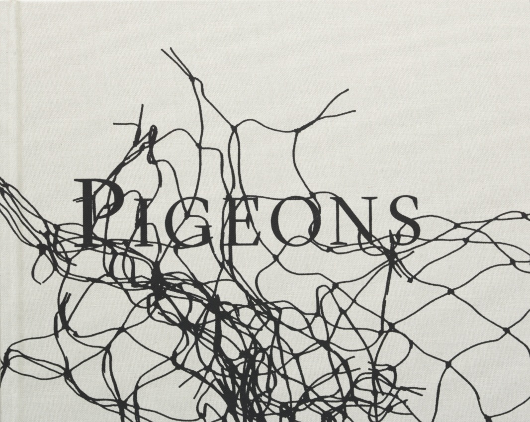 Stephen Gill – Pigeons – signed