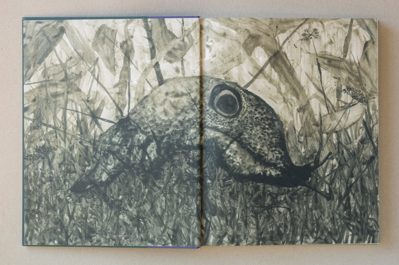 Stephen Gill – Night Procession – 1st Edition – signed