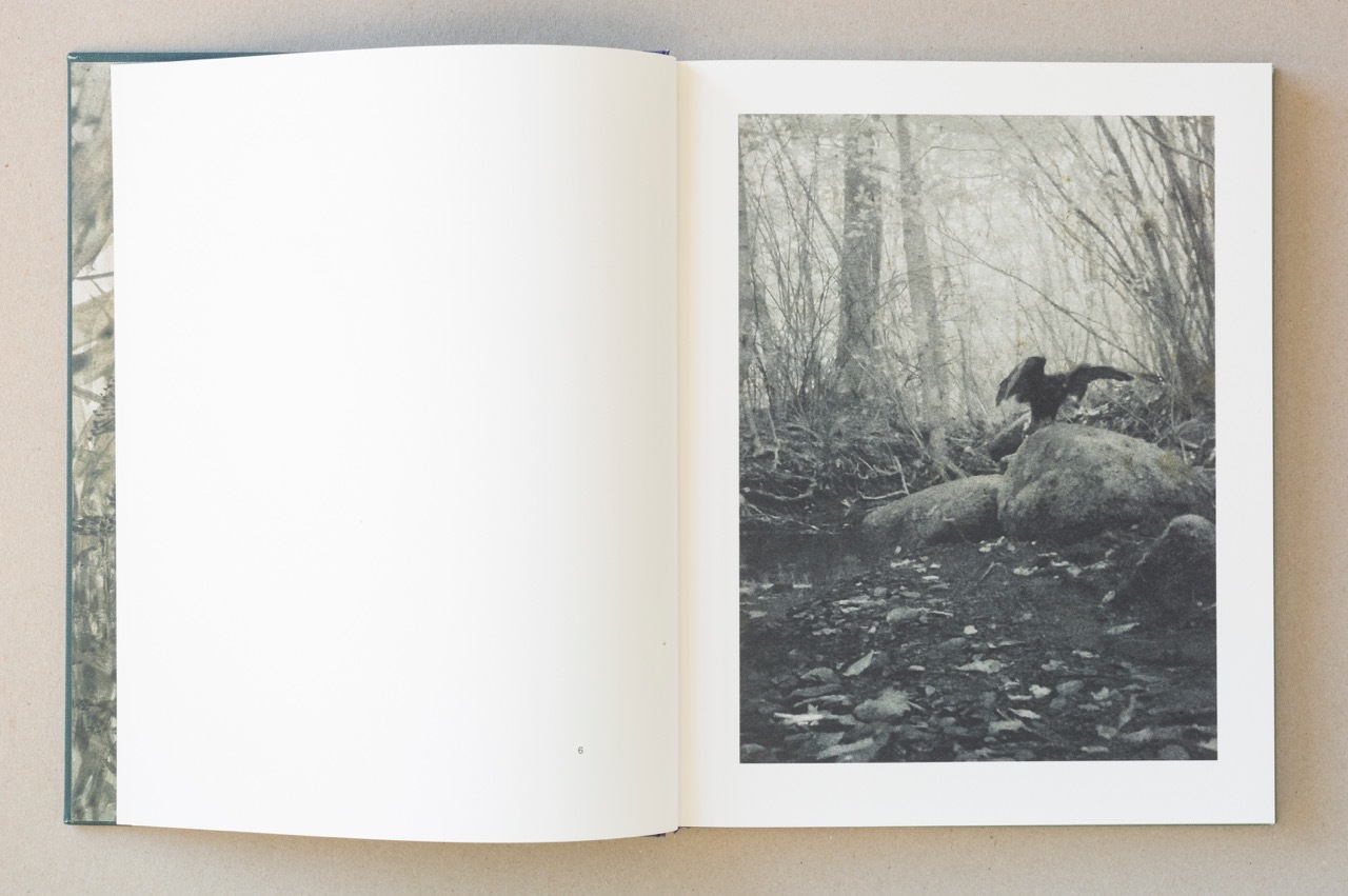 Stephen Gill – Night Procession – 1st Edition – signed