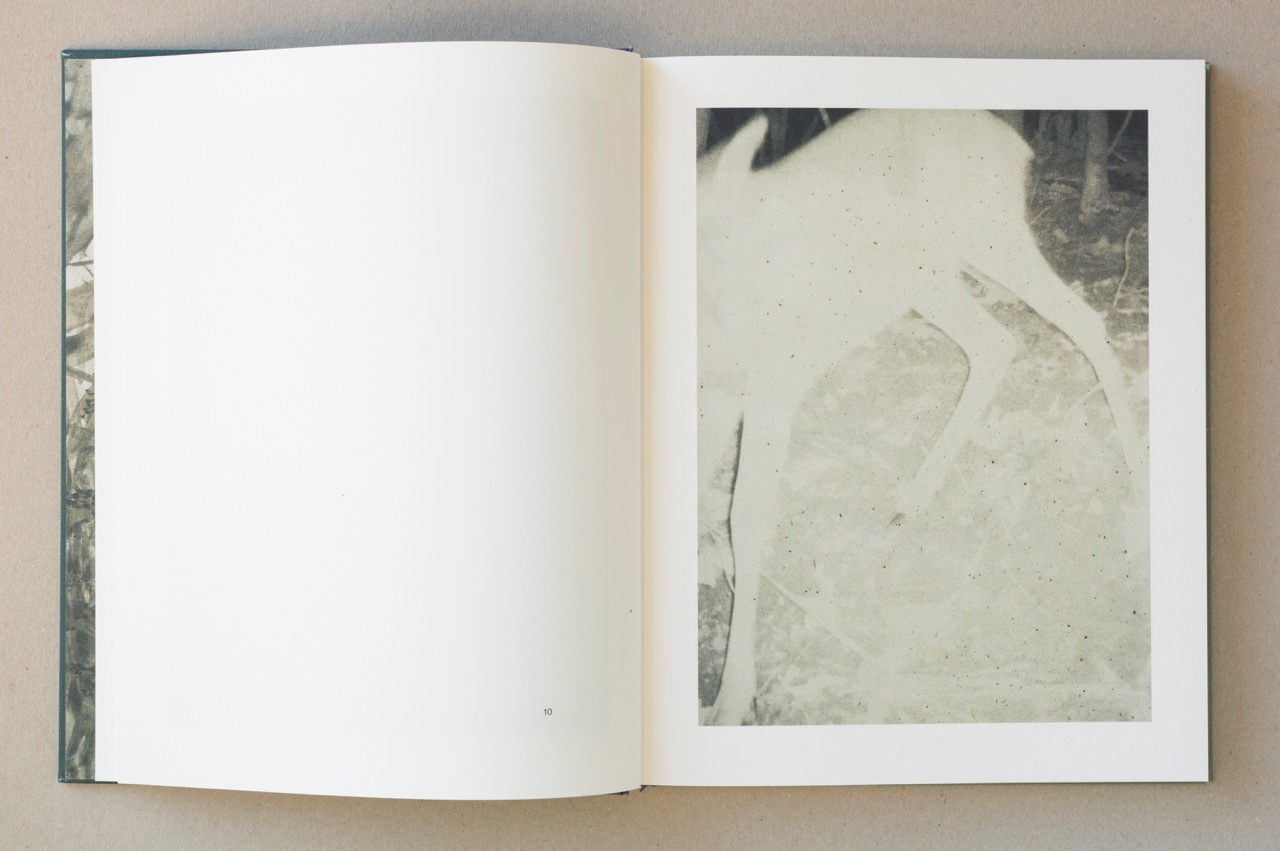 Stephen Gill – Night Procession – 1st Edition – signed