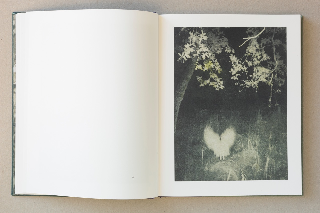 Stephen Gill – Night Procession – 1st Edition – signed