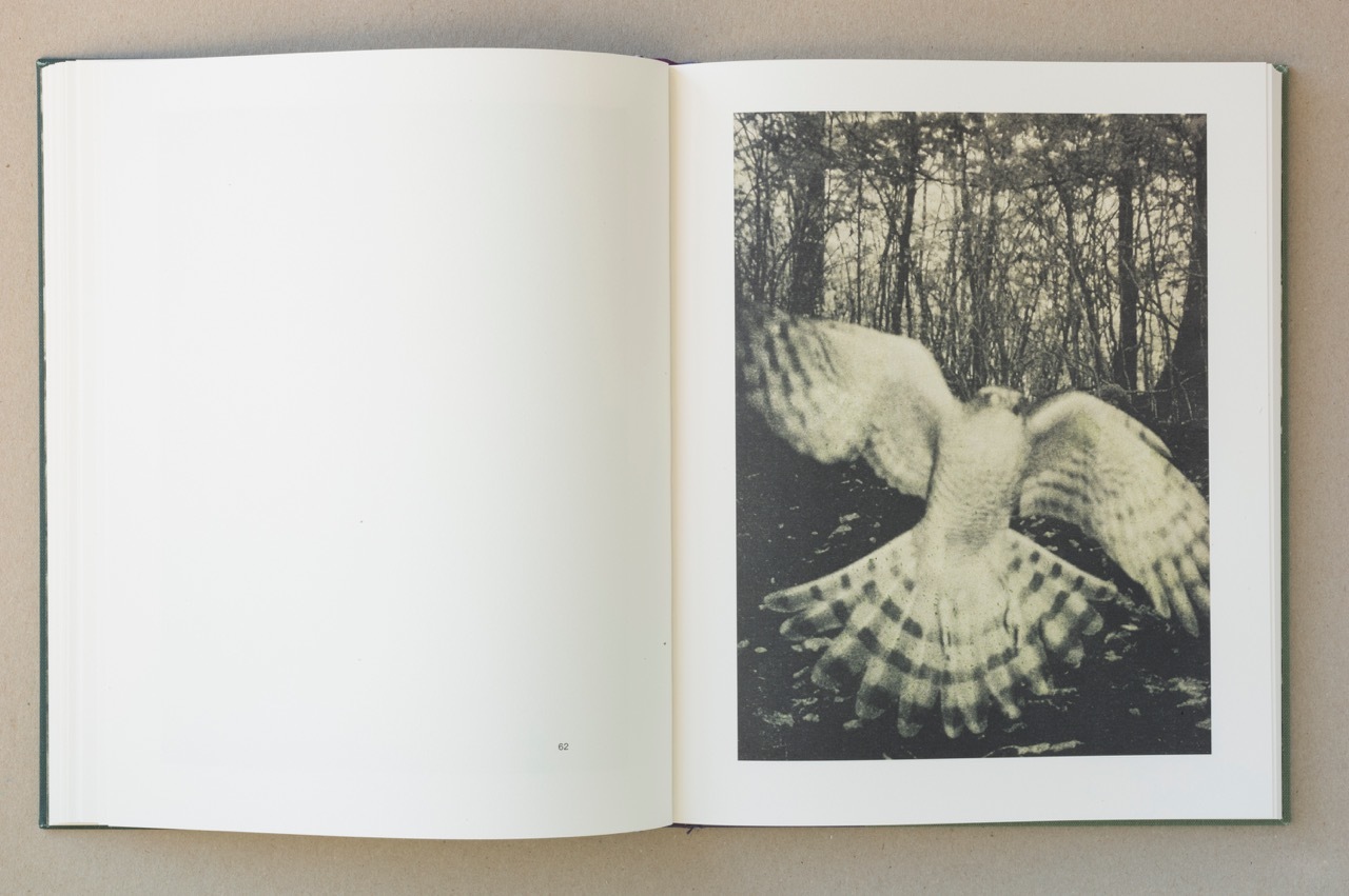 Stephen Gill – Night Procession – 1st Edition – signed