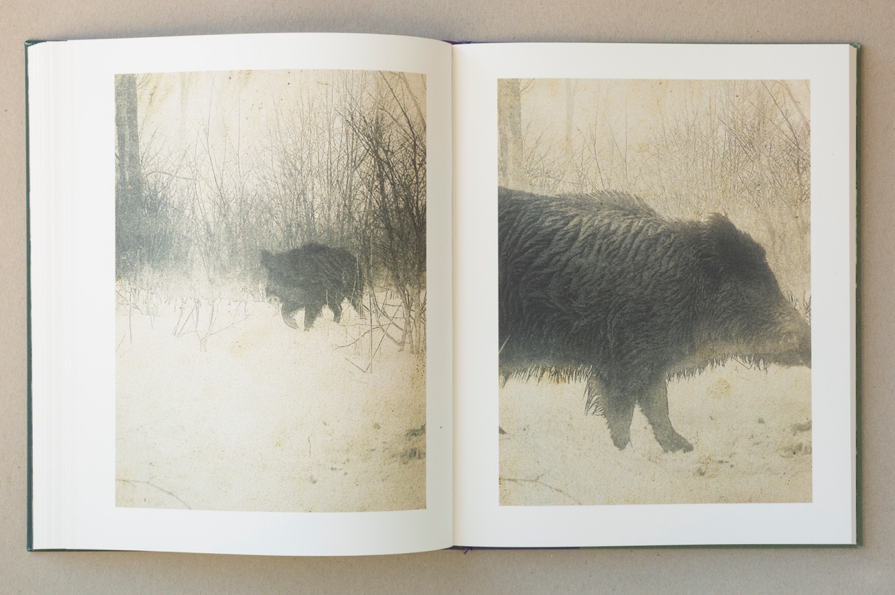 Stephen Gill – Night Procession – 1st Edition – signed