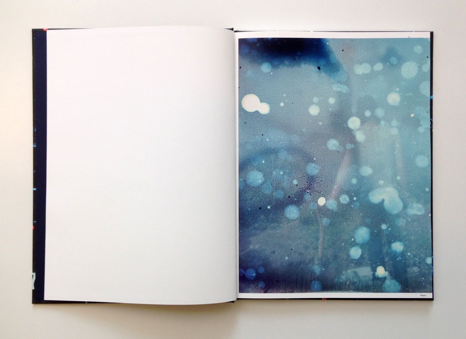 Stephen Gill – Best Before End – signed