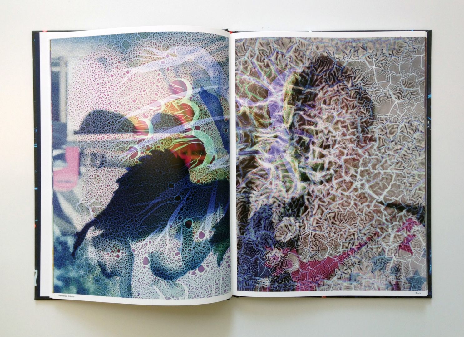 Stephen Gill – Best Before End – signed