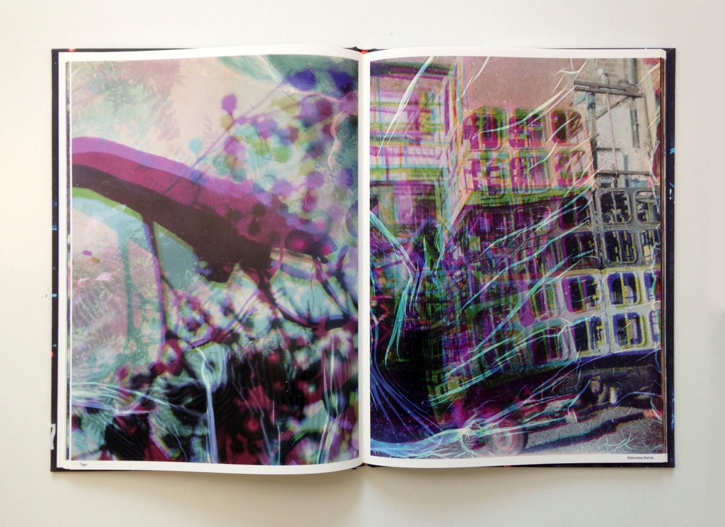 Stephen Gill – Best Before End – signed