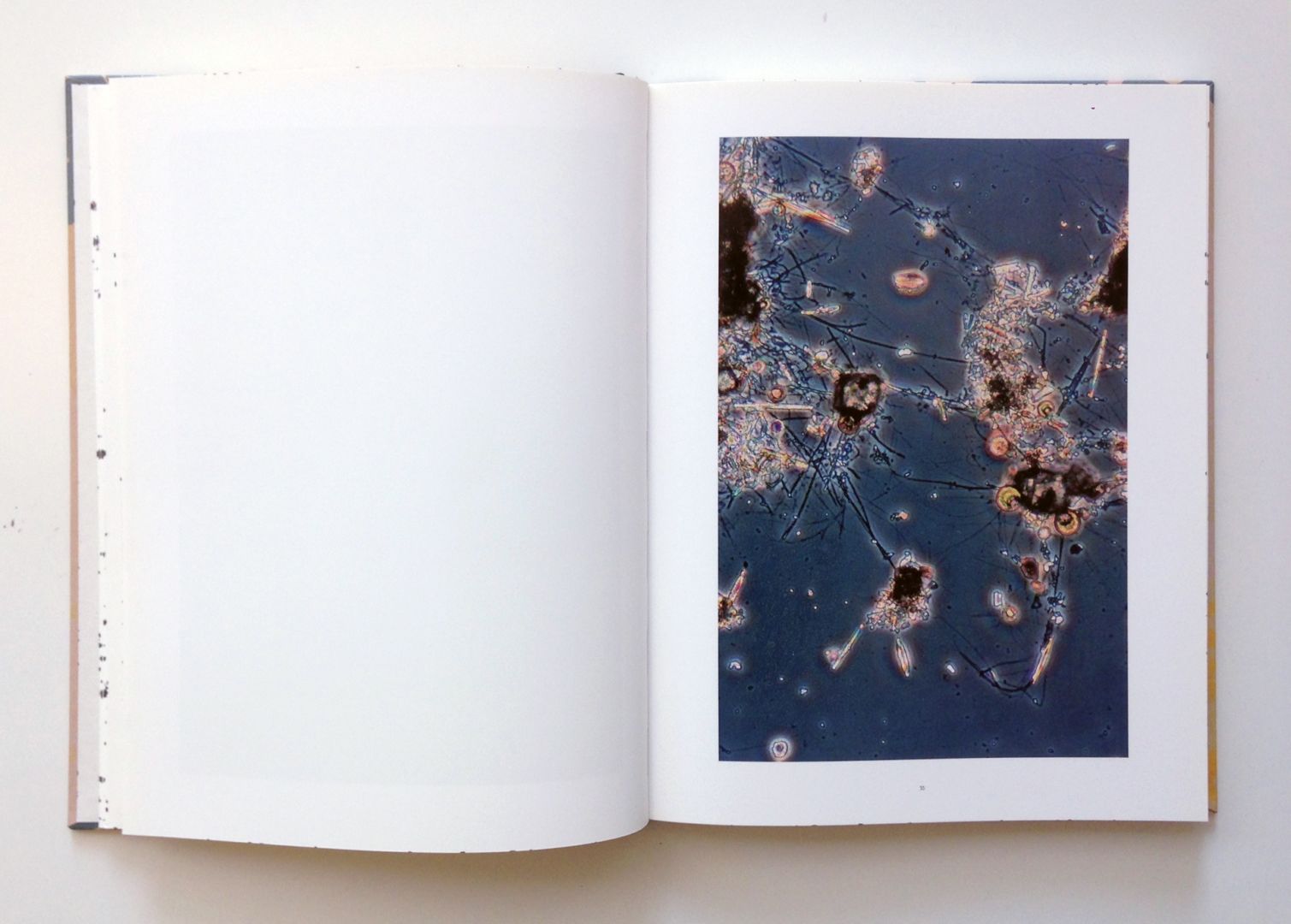 Stephen Gill – Coexistence – signed