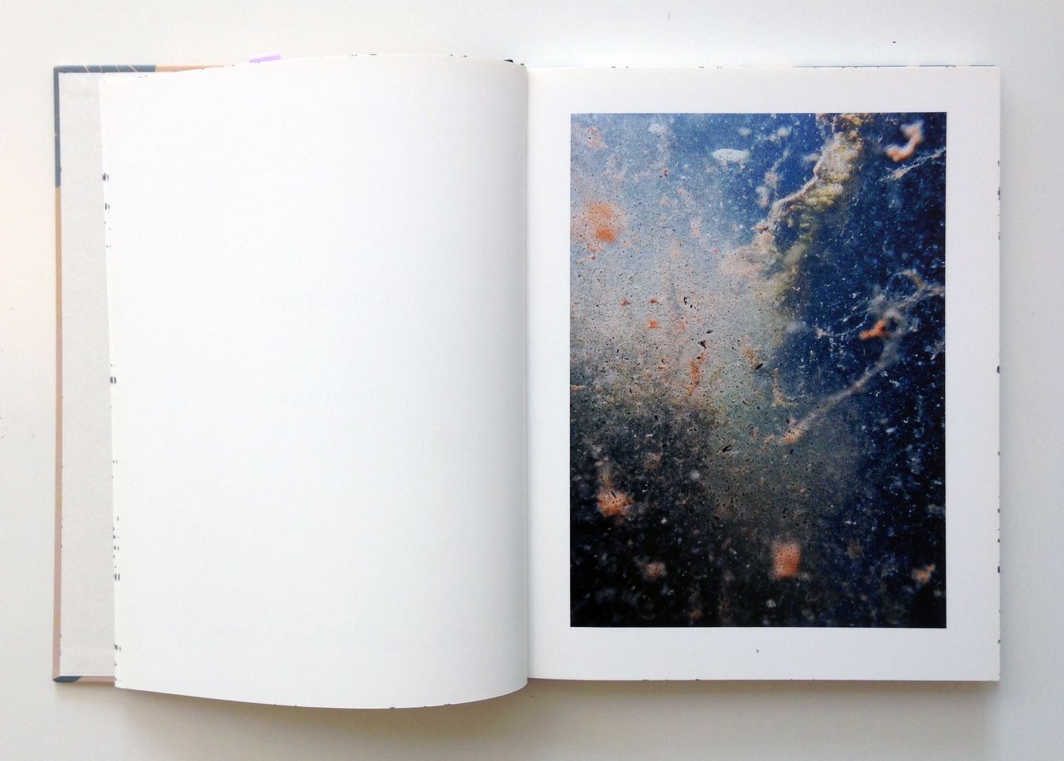 Stephen Gill – Coexistence – signed