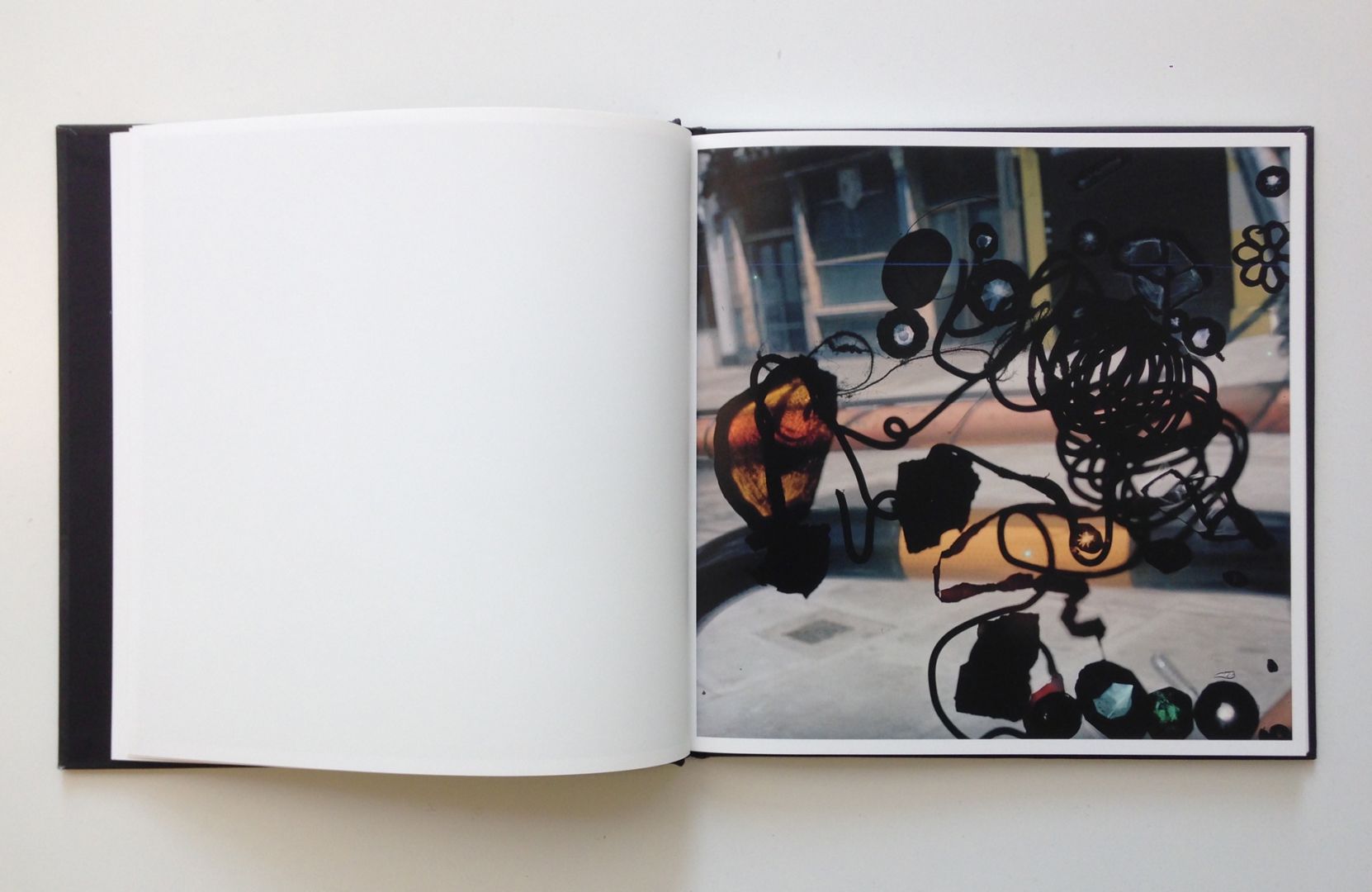 Stephen Gill – Talking to Ants