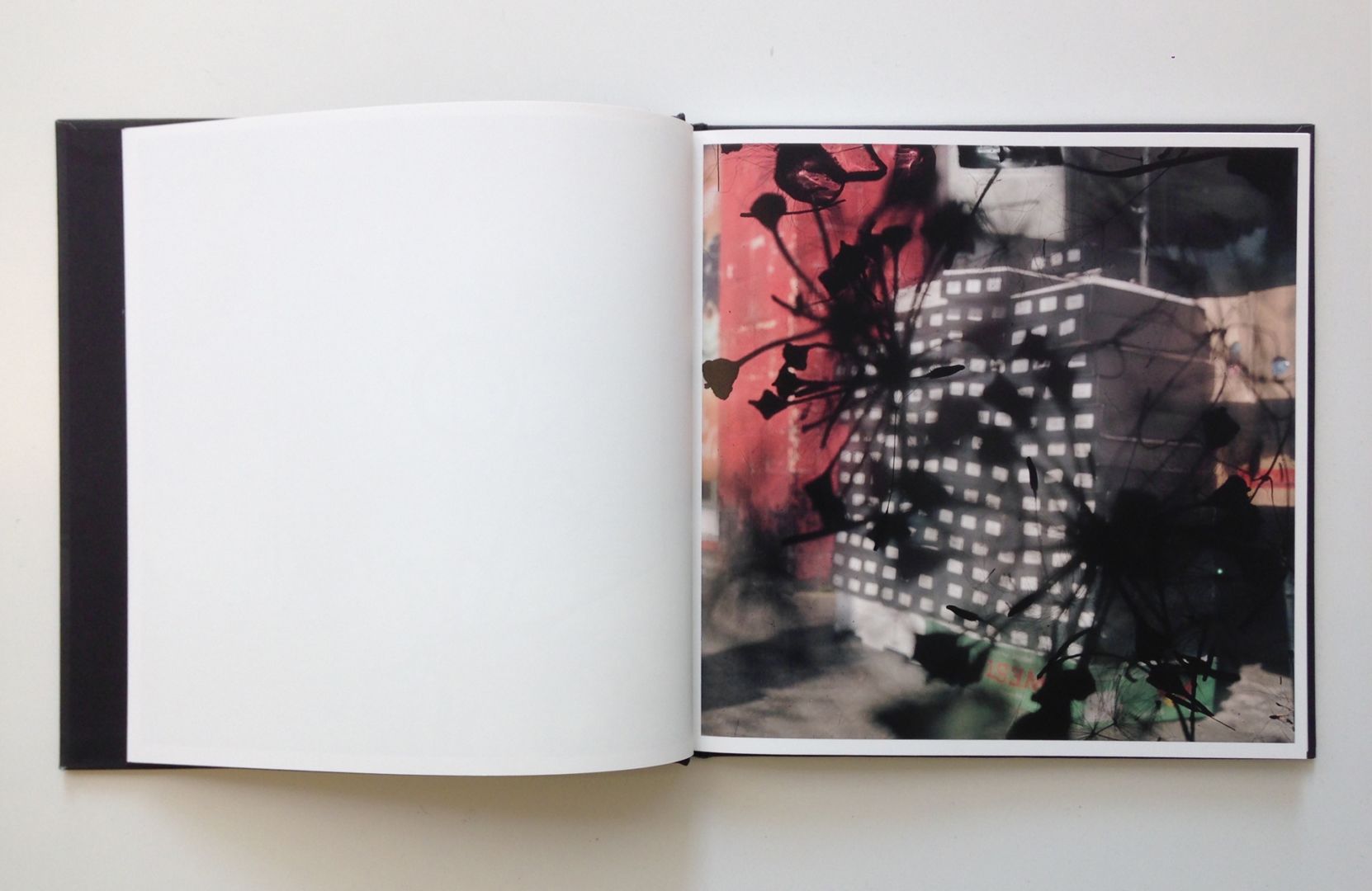 Stephen Gill – Talking to Ants