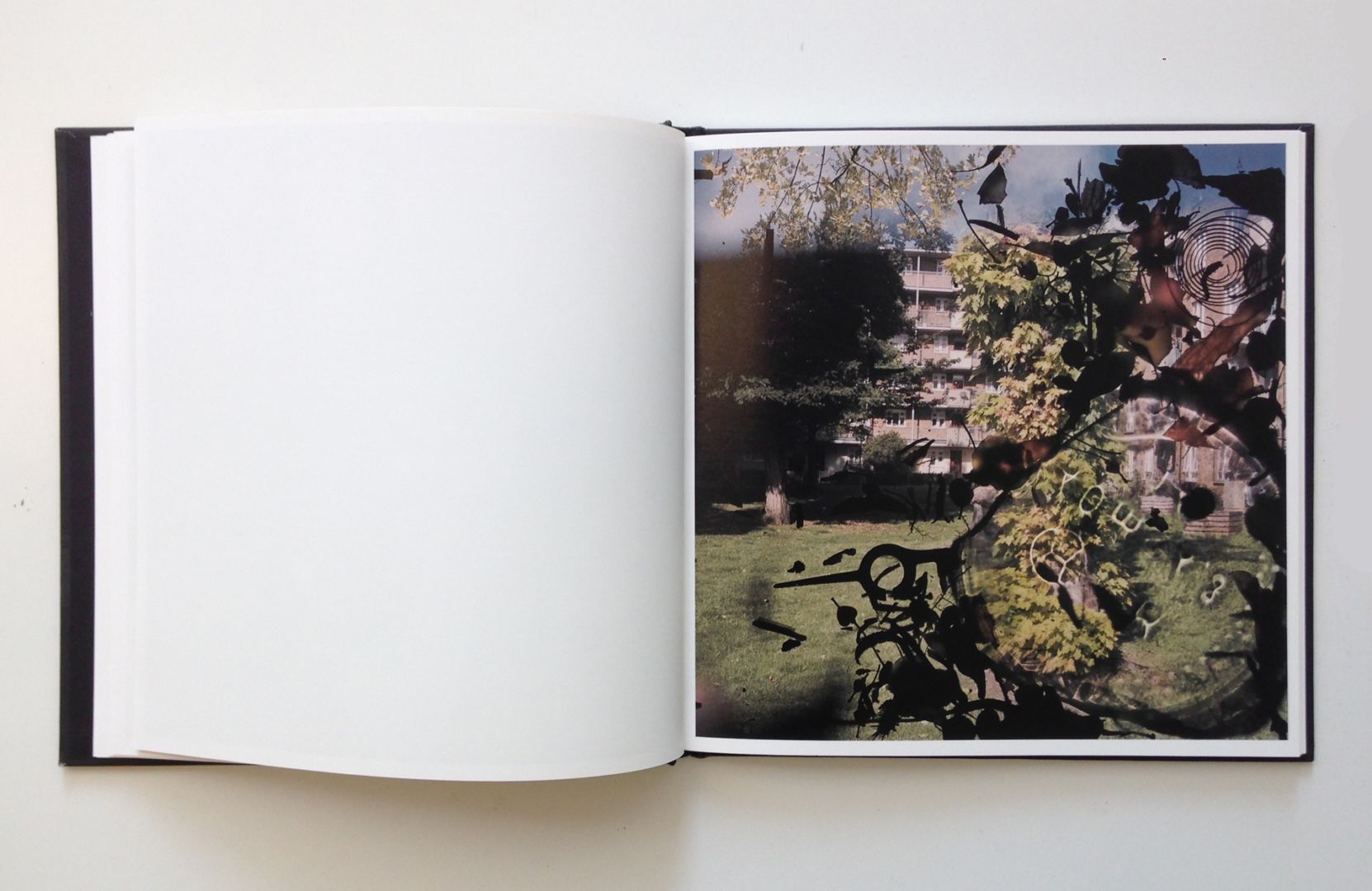 Stephen Gill – Talking to Ants