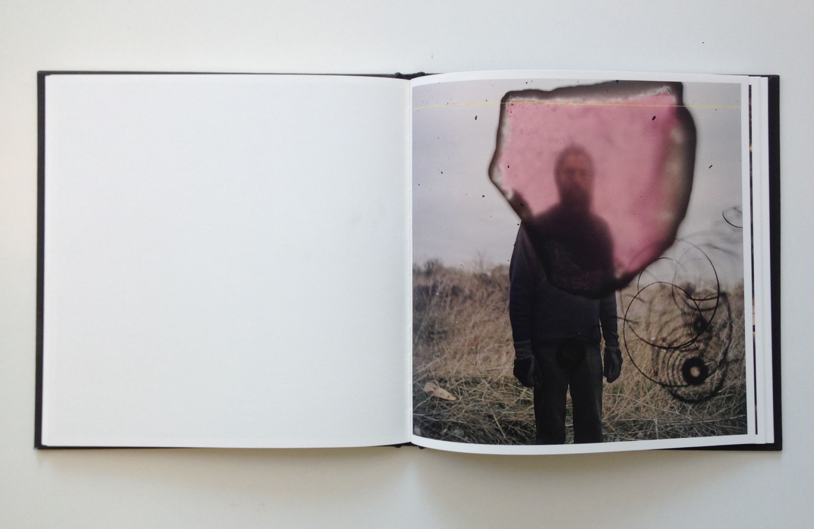 Stephen Gill – Talking to Ants