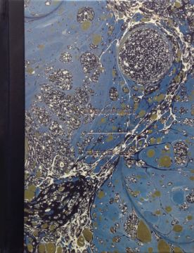 Christophe Guye Galerie Stephen Gill Coexistence